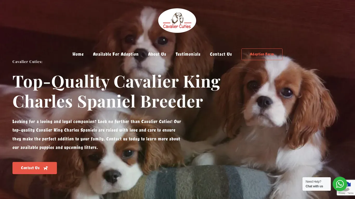 is Cavalier Cuties – Cavalier King Charles Spaniel Puppies for for adoption near me legit? screenshot