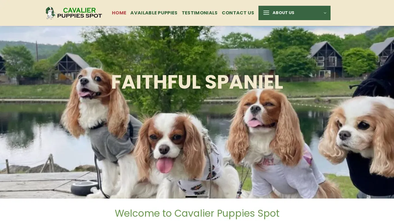 is cavalierpuppiesspot.com legit? screenshot