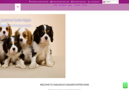 is cavalisiouscavaliers.com legit? screenshot