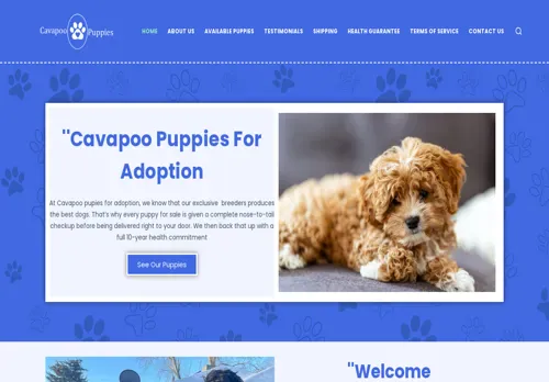 is cavapopupuppiesforadoption.com legit? screenshot