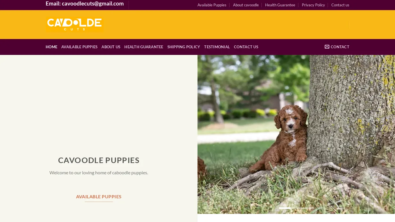 A screenshot of Cavoodlecuts.com