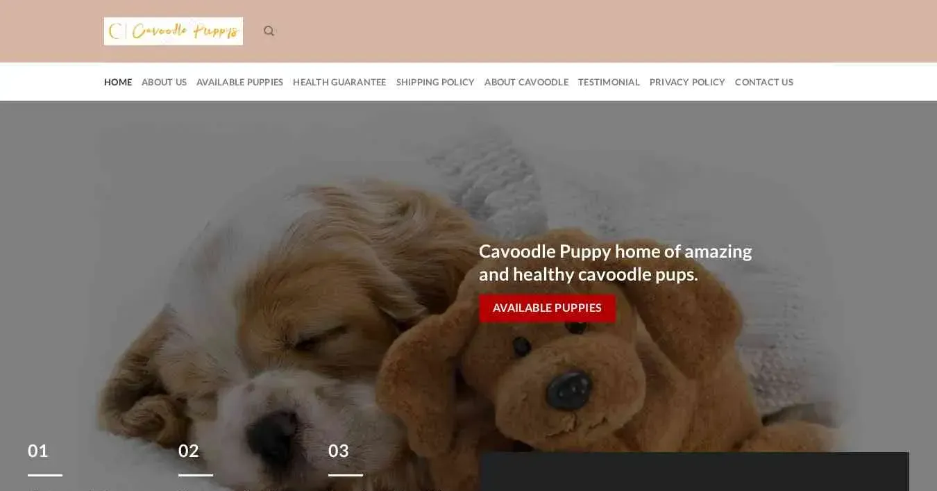 is cavoodlepuppys.com legit? screenshot