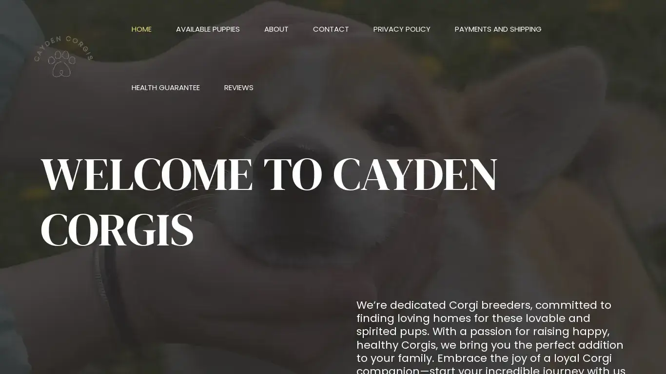 is Cayden Corgis – Cayden Corgis legit? screenshot