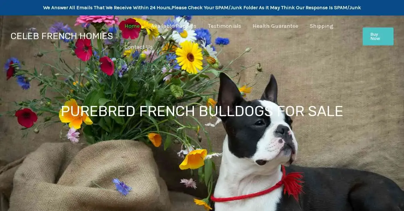 is celebfrenchhomies.com legit? screenshot