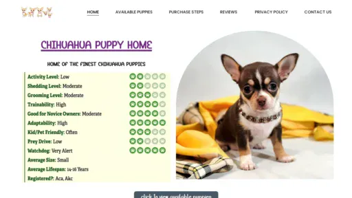 A screenshot of Celebritychihuahuas.com