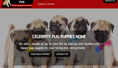 A screenshot of Genlanfamilystbernard.com
