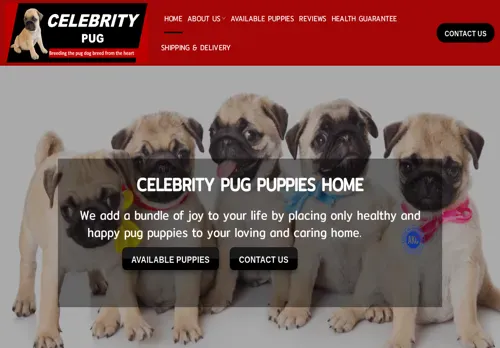 is celebritypugpuppieshome.com legit? screenshot