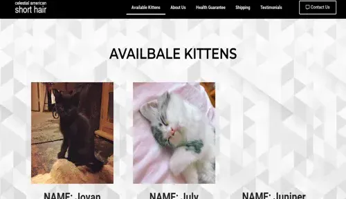 A screenshot of Genlanfamilystbernard.com