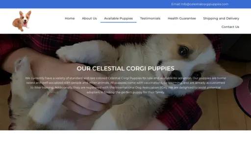 A screenshot of Celestialcorgipuppies.com