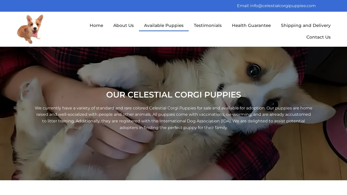 is celestialcorgipuppies.com legit? screenshot