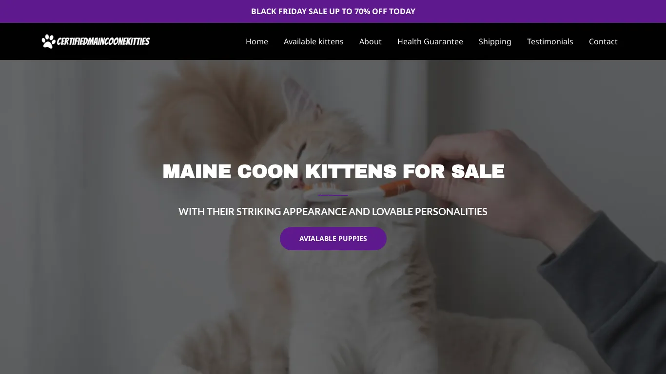 is certifiedmaincoonekitties.com – certifiedmaincoonekitties.com legit? screenshot
