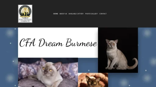 A screenshot of Cfadreammburmese.com