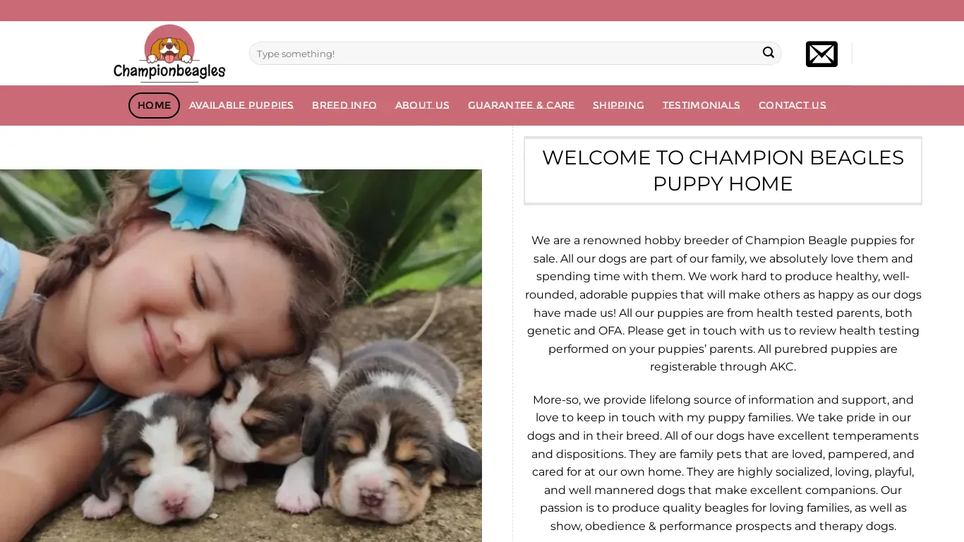 is championbeaglehome.com legit? screenshot