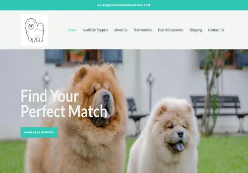 is championbreedpups.com legit? screenshot