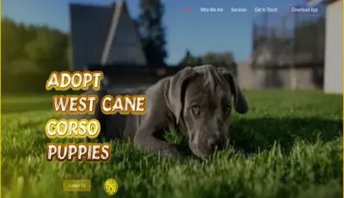 A screenshot of Genlanfamilystbernard.com