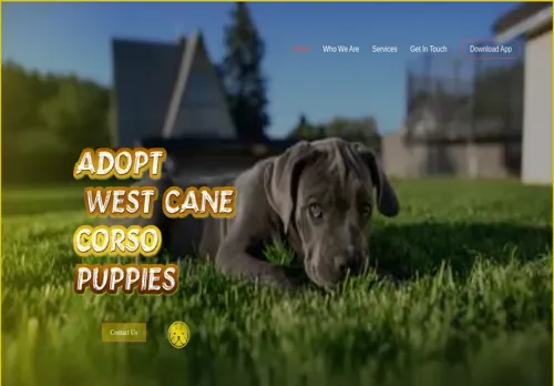 is championcanecorsokennelsllc.com legit? screenshot