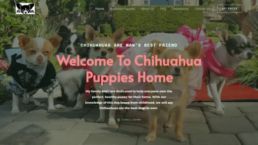 A screenshot of Championchihuahuabreeders.com