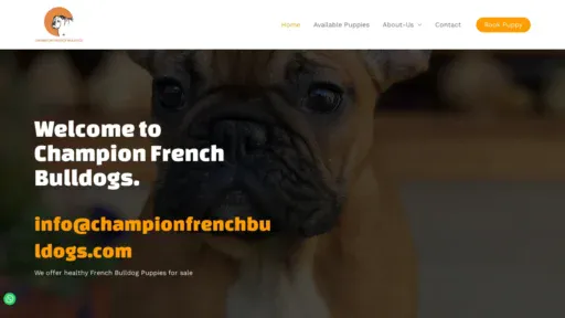 A screenshot of Championfrenchbuldogs.com