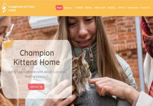 is championkittenshome.com legit? screenshot