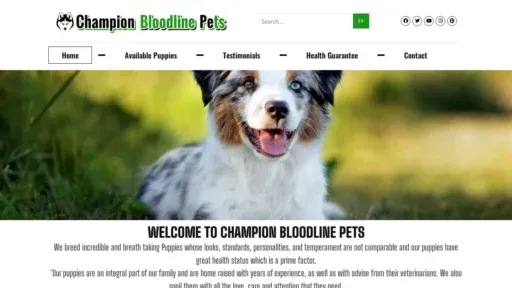 A screenshot of Championsblood.com
