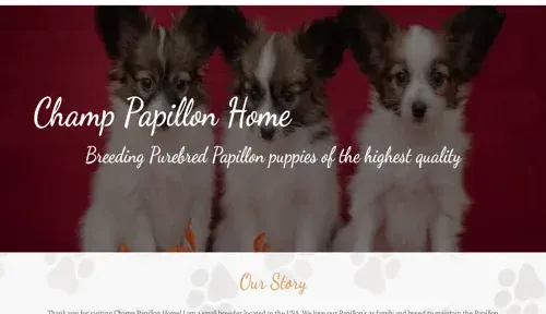 A screenshot of Genlanfamilystbernard.com