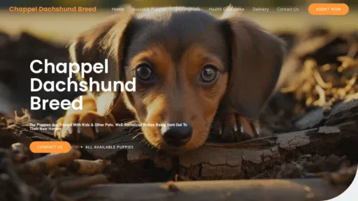 A screenshot of Chappeldachshundbreed.com
