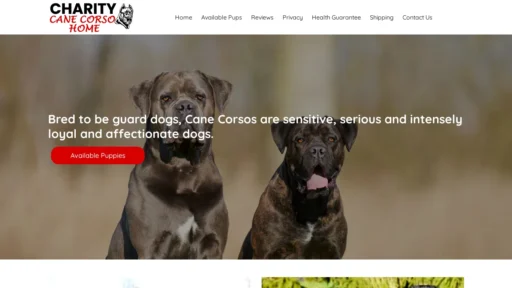 A screenshot of Charitycanecorsohome.com