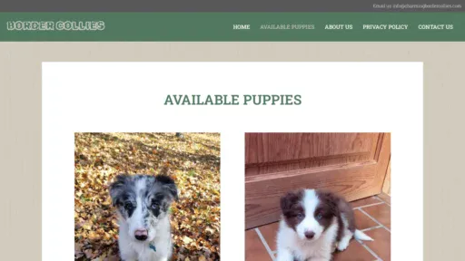 A screenshot of Charmingbordercollies.com