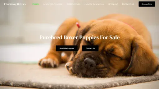 A screenshot of Charmingboxers.com