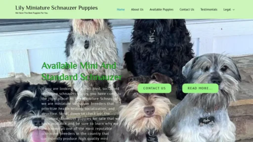 A screenshot of Charmingluck.com