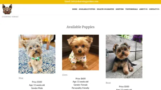 A screenshot of Charmingyorkies.com