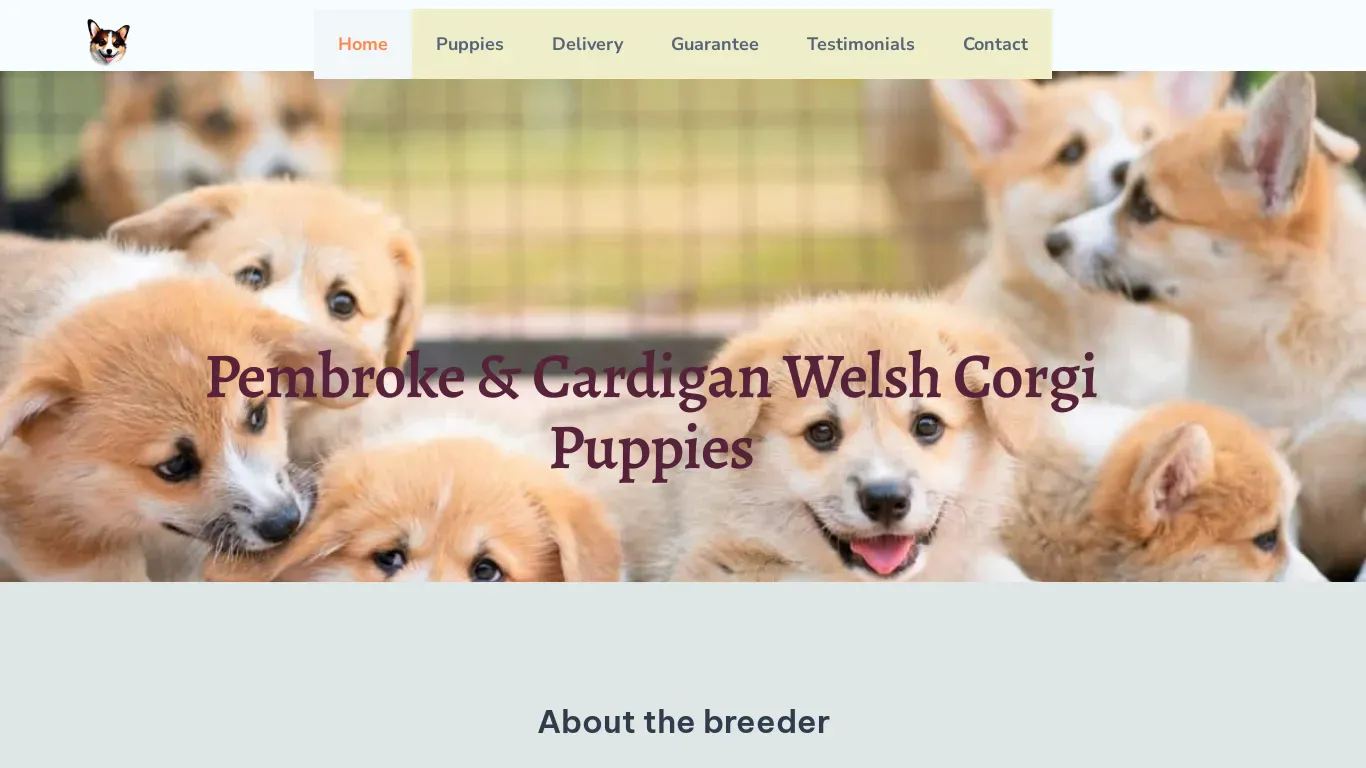is Pembroke & Cardigan Puppies – Pembroke Welsh Corgi Puppies legit? screenshot