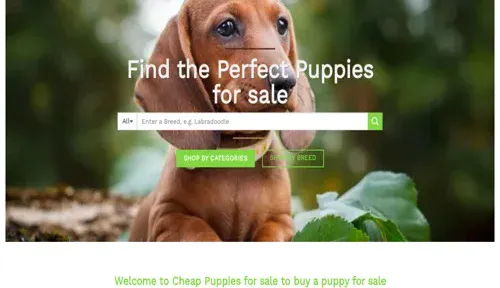 A screenshot of Genlanfamilystbernard.com