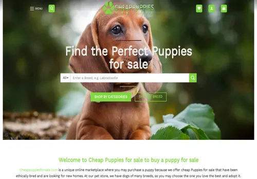 is cheappuppiesforsale.com legit? screenshot