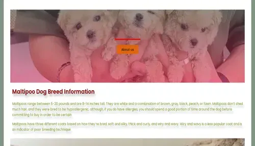 A screenshot of Genlanfamilystbernard.com