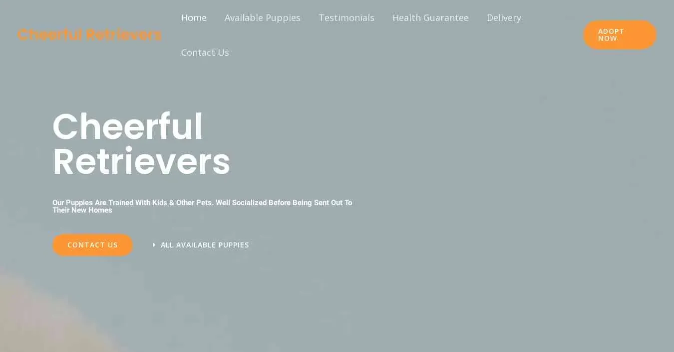 is cheerfulretrievers.com legit? screenshot