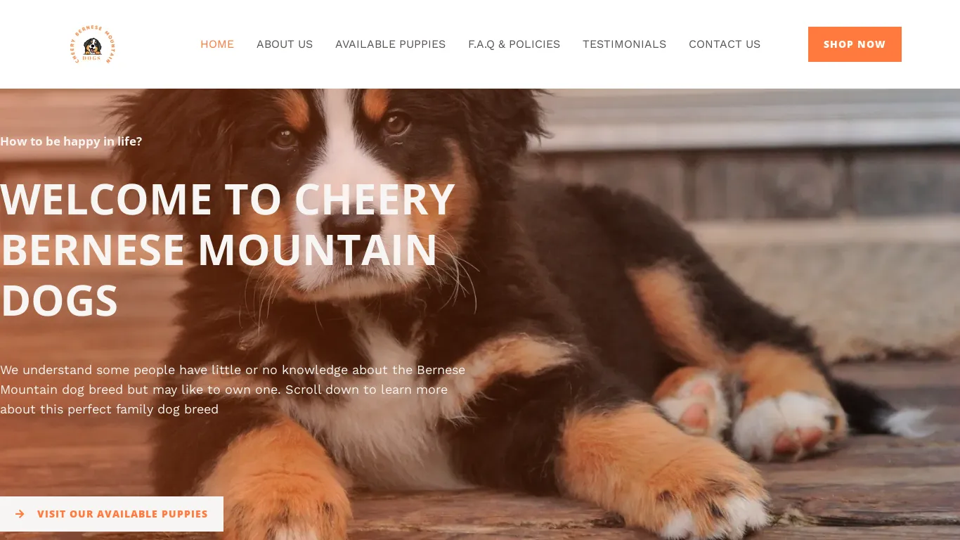 is cheerybernesemountaindogs – Licensed bernesemountain Breeders legit? screenshot