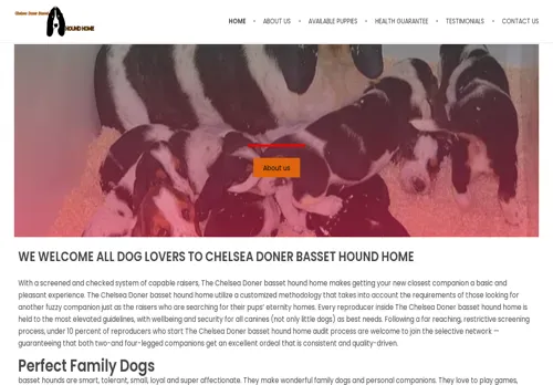 is chelseadonerbassethoundhom.com legit? screenshot