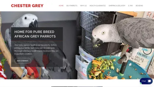 A screenshot of Chestergreyparrotbreeder.us