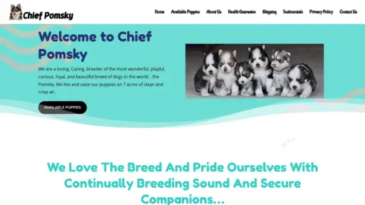 A screenshot of Chiefpomsky.com