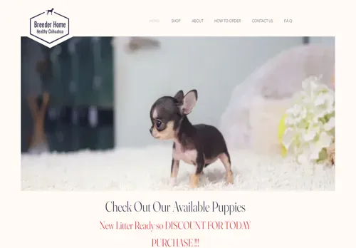 is chihuahuabreedeerhome.com legit? screenshot