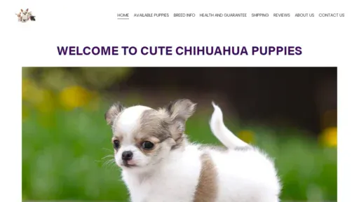 A screenshot of Chihuahuafamilypups.com
