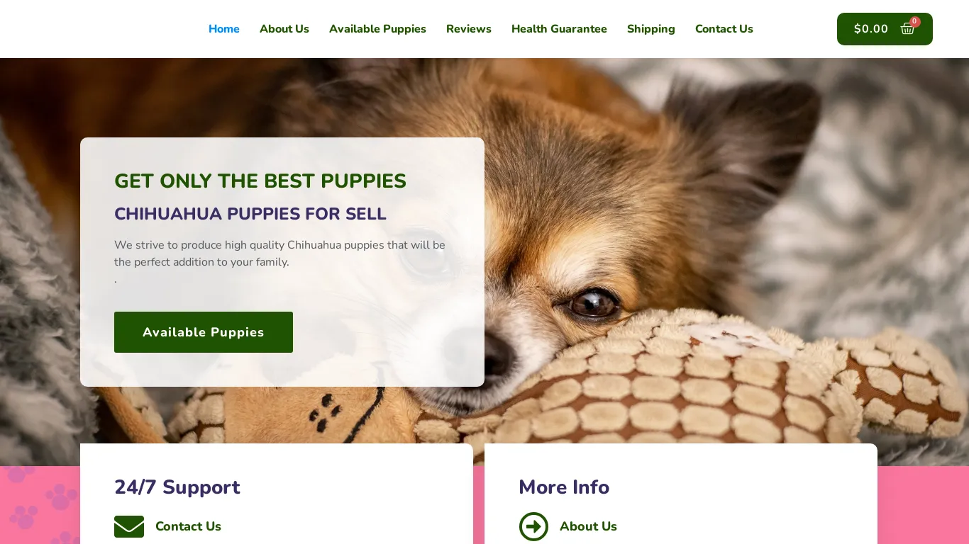 is chihuahuapuppiesforsell.com legit? screenshot