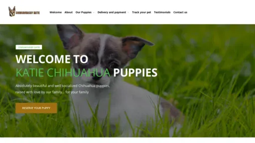 A screenshot of Chihuahuasbykatie.com