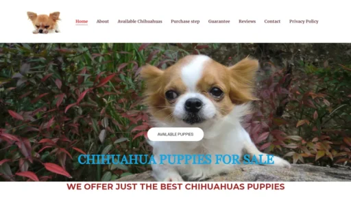 A screenshot of Chihuahuashaven.com