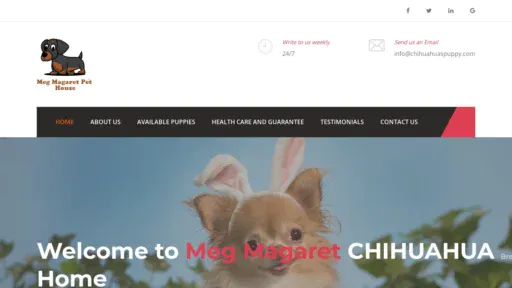 A screenshot of Chihuahuaspuppy.com