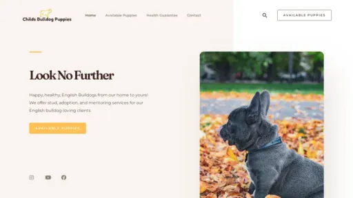 A screenshot of Childsbulldogpuppies.com