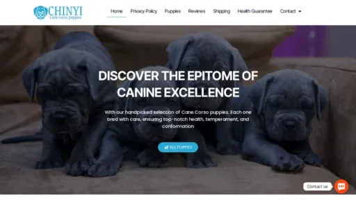 A screenshot of Chinyicanecorsopuppies.com