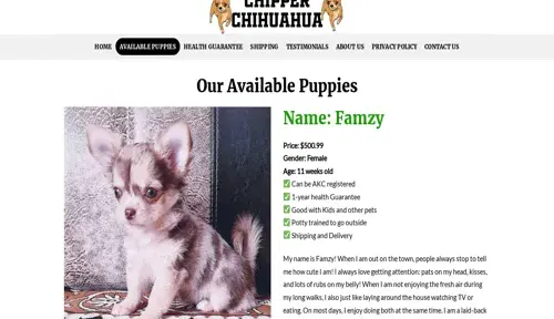 A screenshot of Genlanfamilystbernard.com