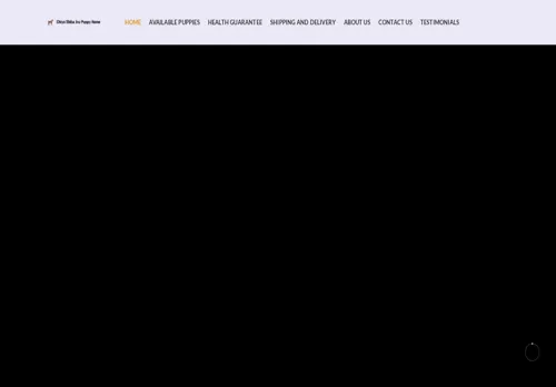 is chiyoshibainupuppieshome.com legit? screenshot